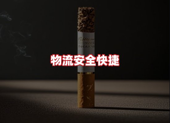 专业团队